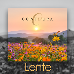 Lente 2020